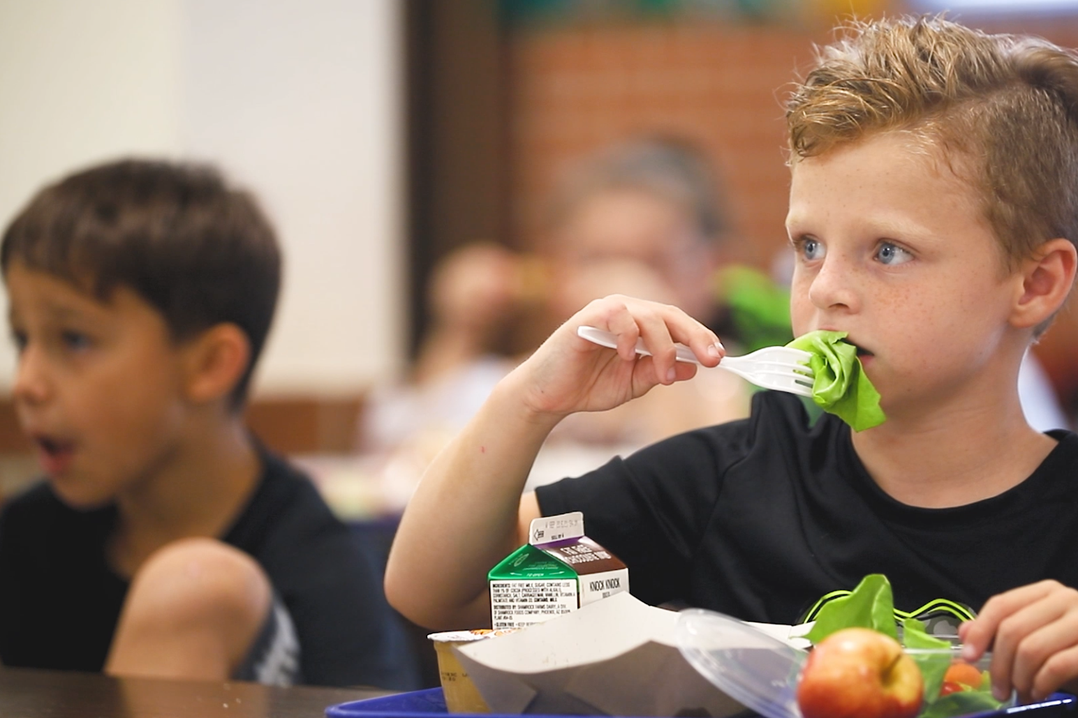 Two boys enjoy fresh lettuce with their school lunch